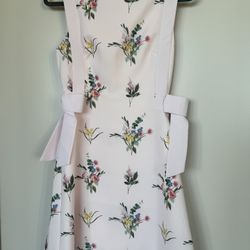 Ted Baker Spring Dress