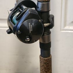 SHIMANO TECHNIUM CASTING POLE WITH SHIMANO TEKOTA 501HG LEFT HAND REEL 8FT LINE WT 40-80LB POWER HEAVY EXTRA FAST
