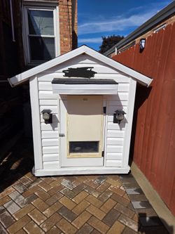 Custom-Built Luxury Dog House – 4' × 4' × 4' – Real House Construction”