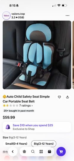 Car Seat Cover