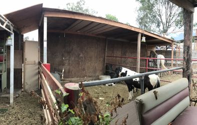 Horse Rails