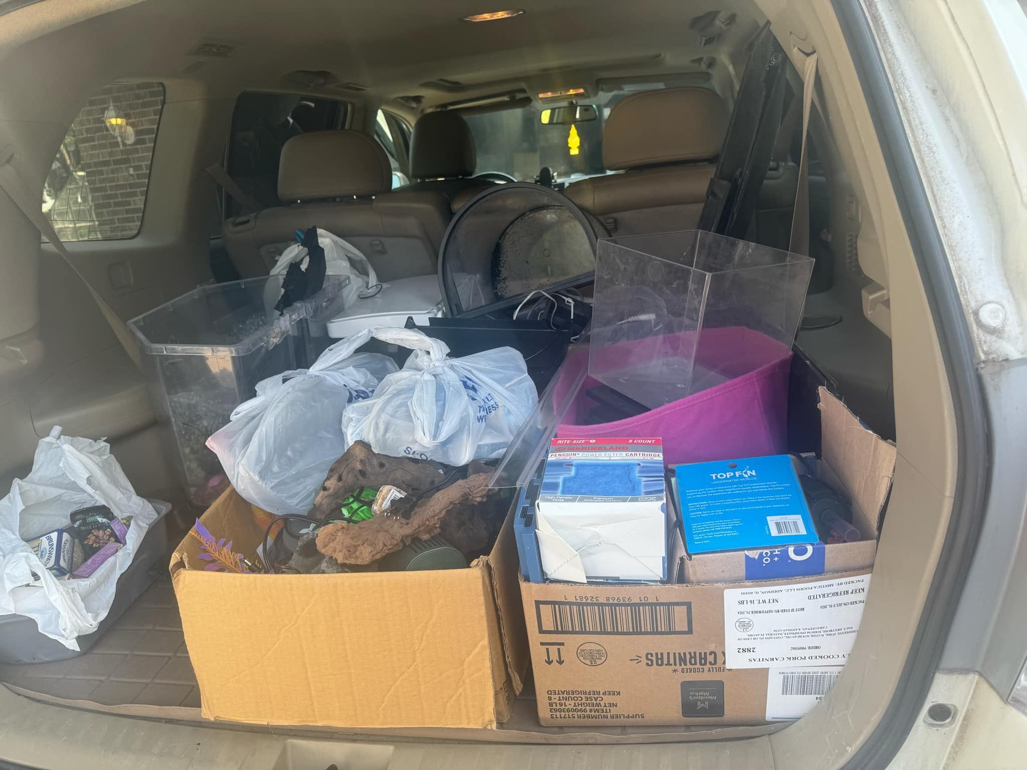 Fish Haul