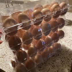 Eggs