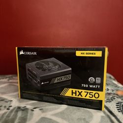 CORSAIR HX Series, HX750, 750 Watt, 80+ Platinum Certified, Fully Modular Power Supply