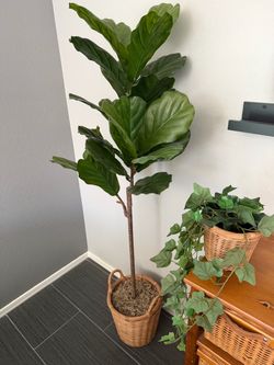 Fake Plants