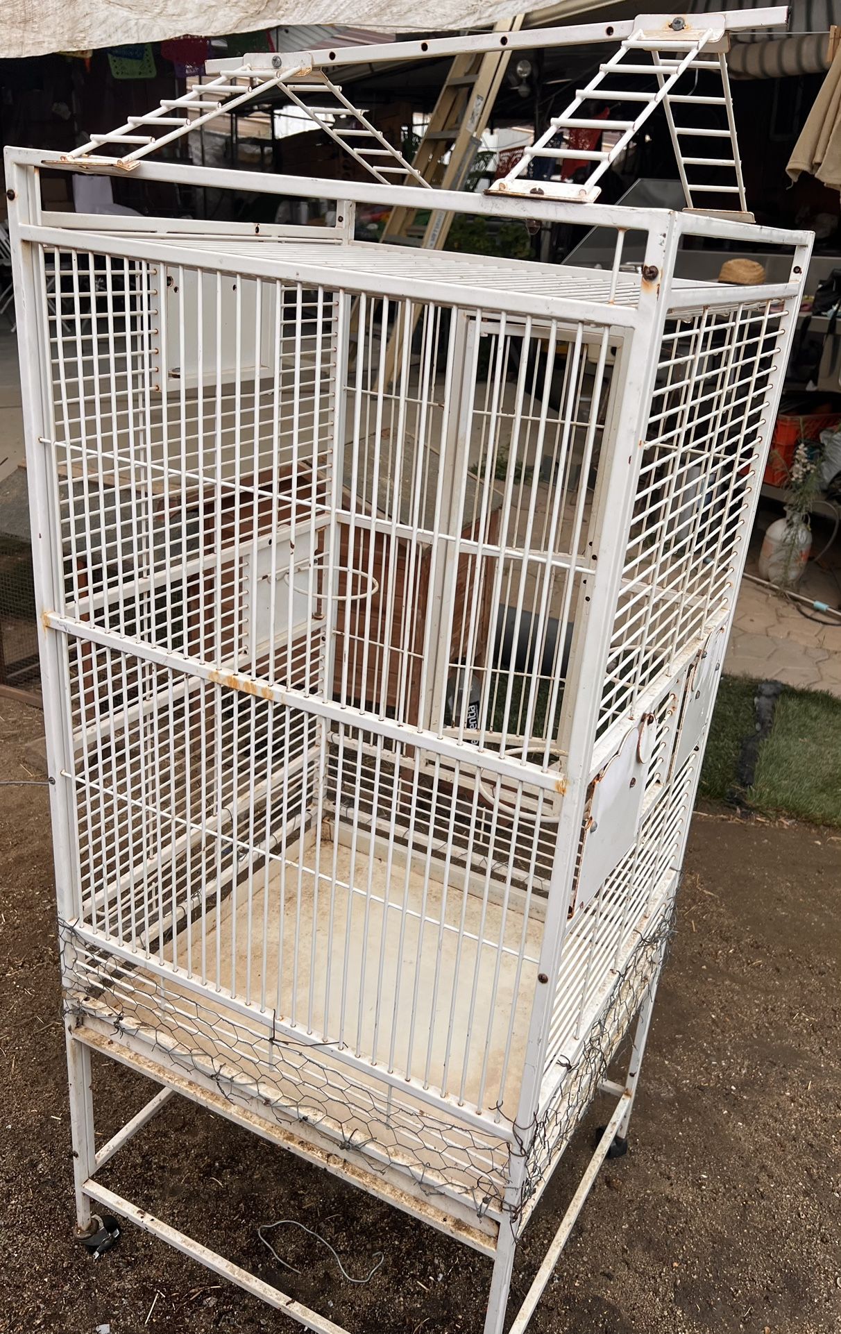 Rolling Parrot Cage
