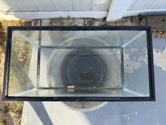 Fish/turtle Tank