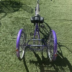 Adult tricycle