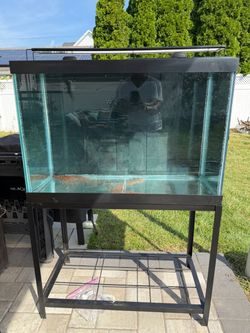 70 Gallon tall fish tank with metal stand/glass lid and led light
