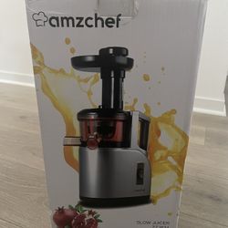 Amzchef Slow Juicer