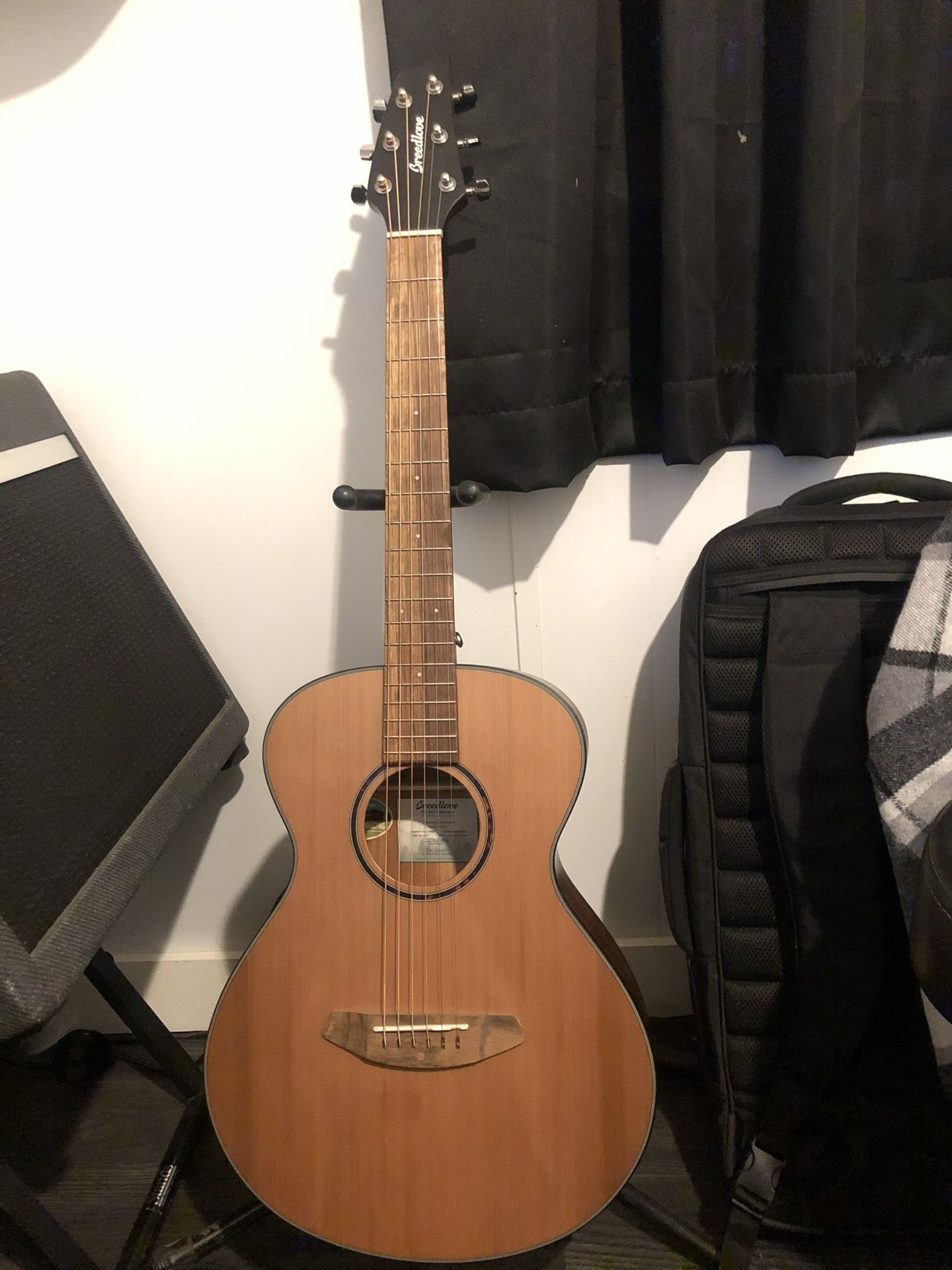 Breedlove Acoustic Guitar