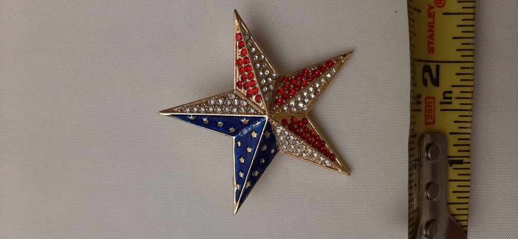 Red, white, and blue jeweled star brooch.