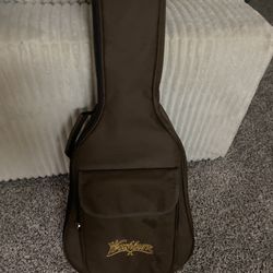 Washburn Guitar 
