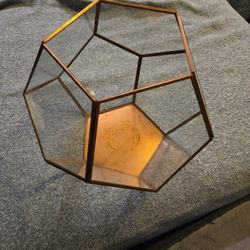 Flower Vase Or Terrarium 