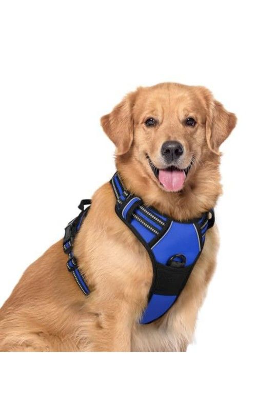 rabbitgoo Dog Harness No Pull with 2 Leash Clips