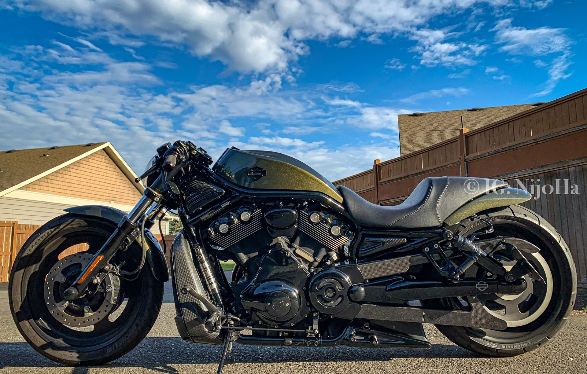 Carbon fiber | VROD Frame Vent and Belt Guard