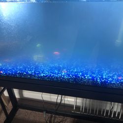 55 Gallon Fish Tank Plus Stand 