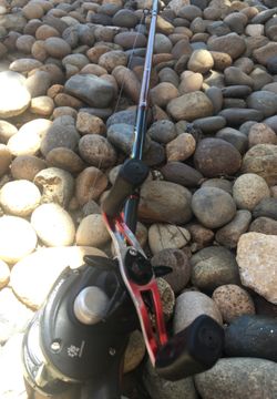 Abu Garcia black max with Berkley lightning rod