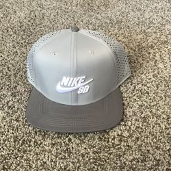 Nike SB  Grey Meshback hat.