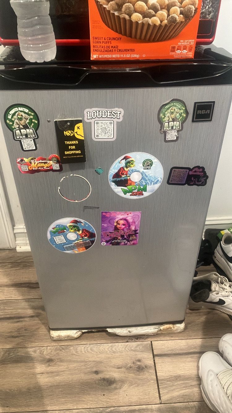 Mini Fridge