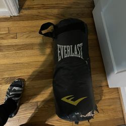 Old Punching Bag (no Bar With It)