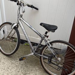 TREK Navigator 200 