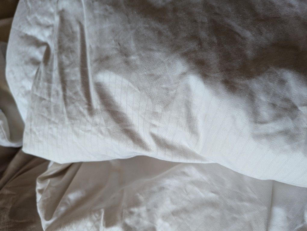 Queen Bed Goose Down Comforter Blanket Quilt Duvet 86x86 Cotton Shell Insulated Thermal Warm Winter Ultralight Charter Club Sotvedel Ikea Hotel 