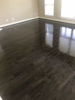 Floor and Carpet Care