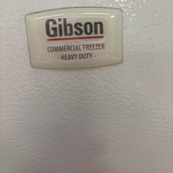 Gibson Industrial Freezer