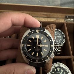 Seiko land tortoises