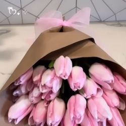 Tulip Bouquet 