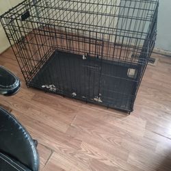 Xl dog kennel