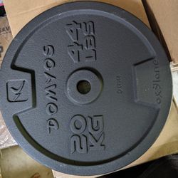 Standard 1 Inch Weight Plate