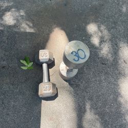 Weights 
