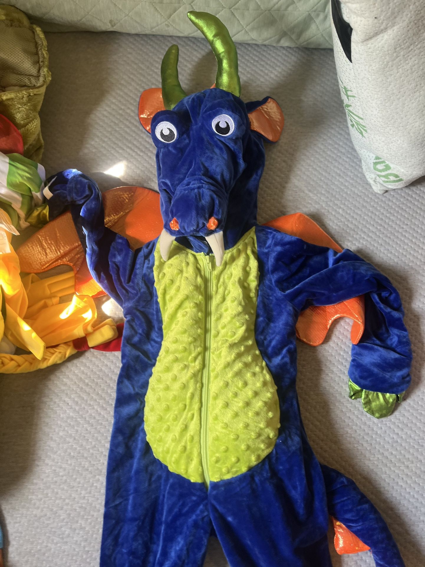 Dragon Costume