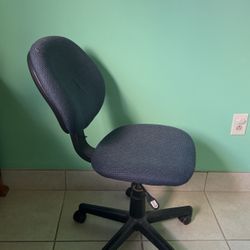 Computer/Desk Chair