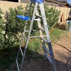 6 Ft Werner Aluminum Ladder 