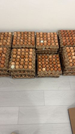 Huevos criollos
