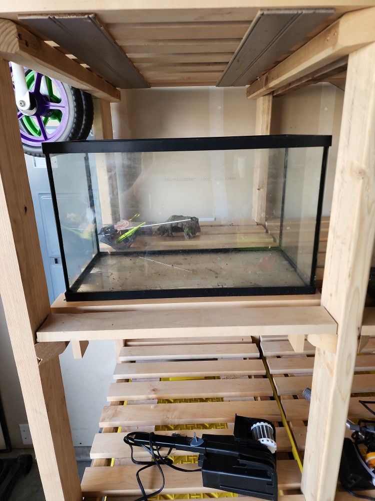 10 gallon fish tank