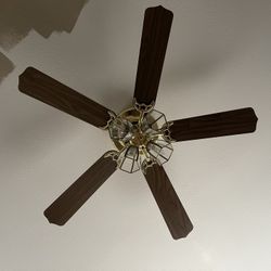 Ceiling Fan