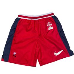 Nike Lab Gyakusou Mens S Shorts 