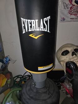 Everlast Punching Bag Like New I never used it