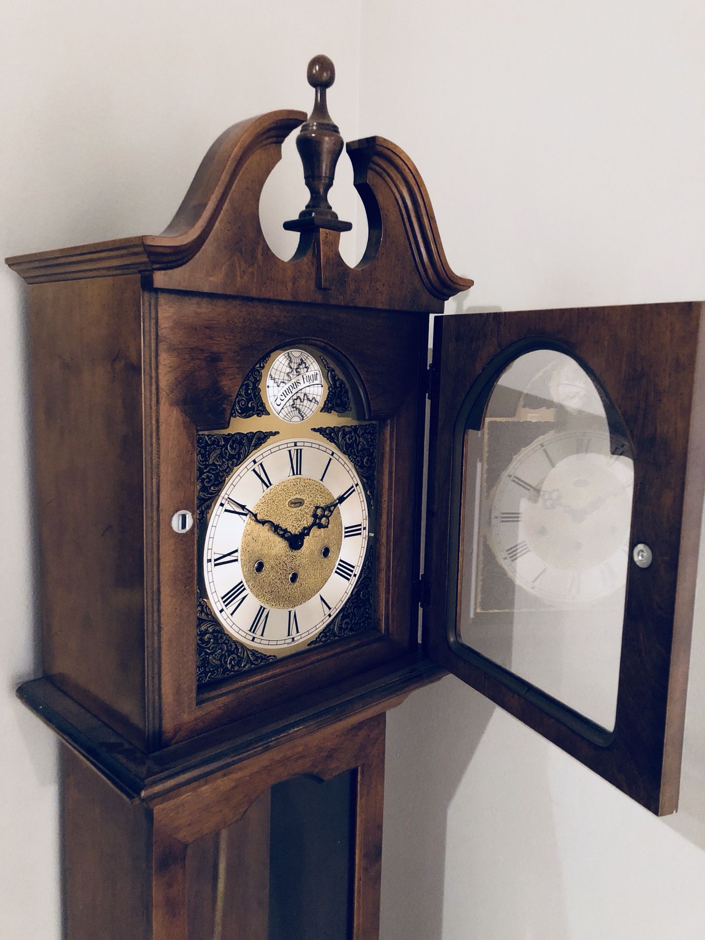 Western Germany Tempus Fugit Grandfather Clock
