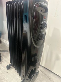 Radiator Heater