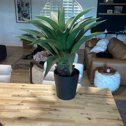 Faux Plant-30” Tall.