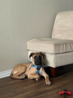 Lazy boy armless chair (2)