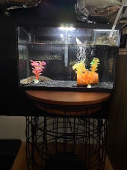 Fish tank
