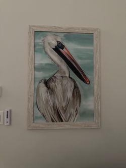 Estate Sale Pelican Framed Art