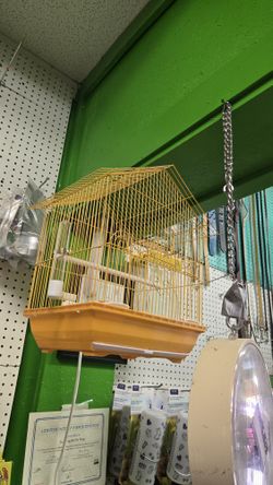 Bird Cages