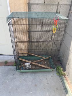 Bird Cage